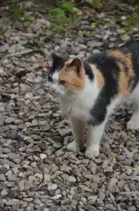 Селигер виледж - 53