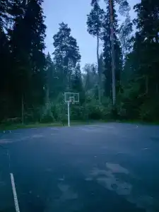 Сосновый бор - 4