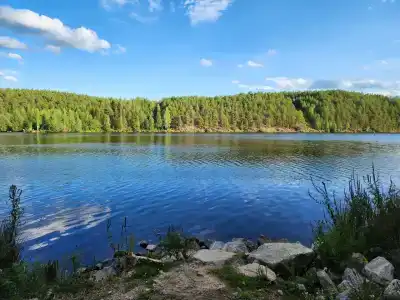Шелест - 2