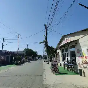 Платан-Paradise - 7