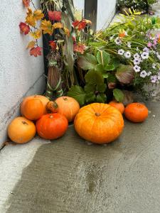 Квартиры на Подлипецкой Слободе 6А - 80