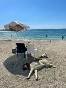 Crowne Plaza Florya Istanbul, an IHG - 36