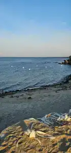 Гостевой дом на Балтийской косе - 36