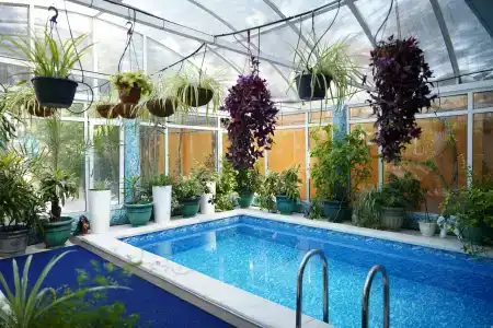 Александр - 13