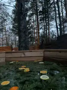 Магия леса - 99