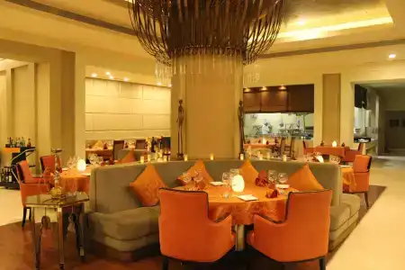 Radisson Blu Bengaluru Outer Ring Road - 41