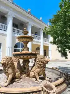 Белый Лебедь