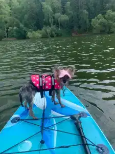 Романтик - 69