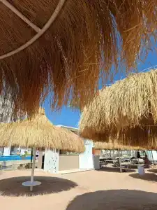 Sunrise Remal Resort - 22