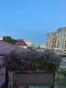 МакаровЪ - 41