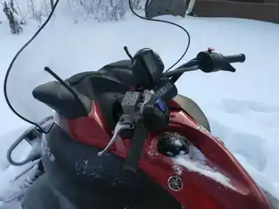 Снегоходия - 6
