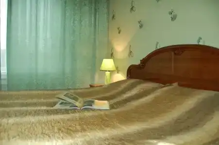 Светлячок - 8