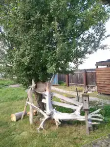 Мульта-Центр - 37