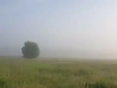 ПолеДом - 27