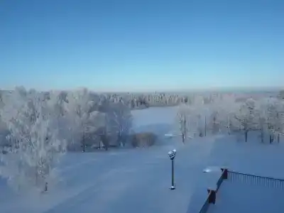 Имение Сведомских - 65