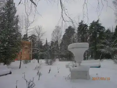 Сосновый Бор - 14