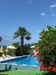 Фламинго - 8