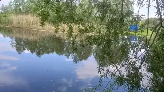 Родник - 7