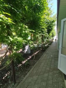 Гостевой дом на Мира 39 - 14