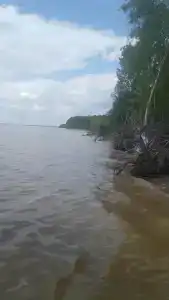 Кубенский берег - 7