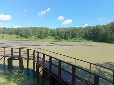 Берёзка - 0