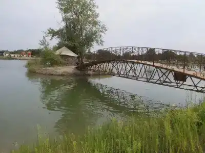 Оазис - 2