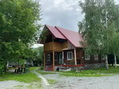 Эдельвейс - 5