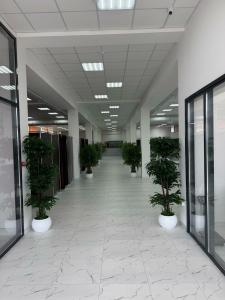 Rayana - 22