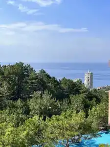 ЛаПальма - 44