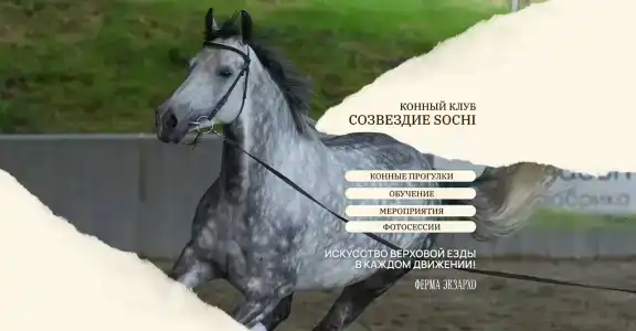 Кск Созвездие Sochi - 0