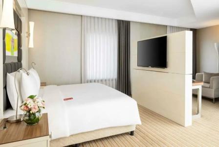 Ramada Plaza By Wyndham Istanbul Tekstilkent - 9