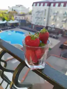 Украина Палас - 64
