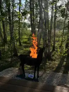 Сойма Парк - 12