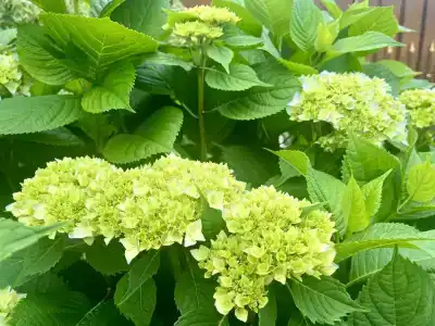 В гостях у Риты - 6