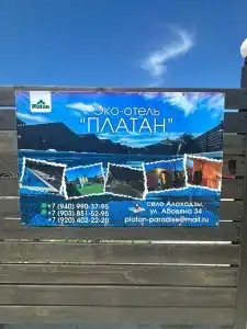 Платан-Paradise - 12
