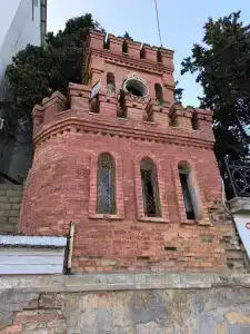 Лонгвина - 81