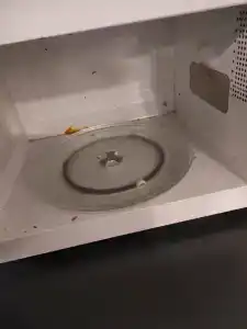 Sunflower by Zont - 86