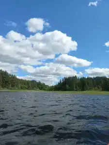 Сокол - 43