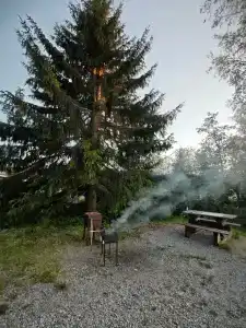 Forest Park - Tiny House - 29