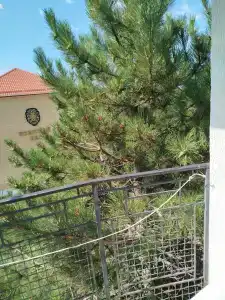 Дом друзей - 44