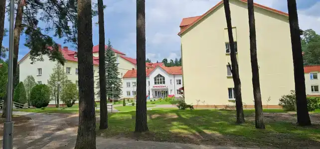Пралеска - 17