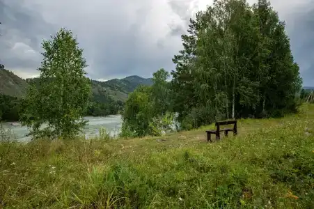 Алекс Парк - 29