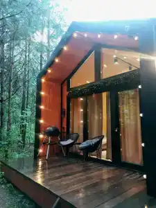 Сосны. Пространствие - 70