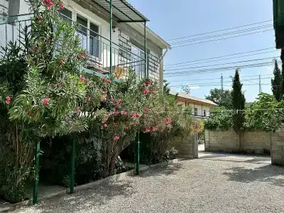 у Ибрагима - 20