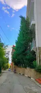Ягуар - 27