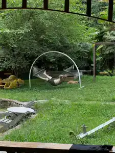Лебедево озеро - 17