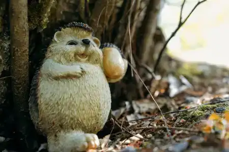 Карельская сказка - 36