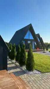 Шелест - 45