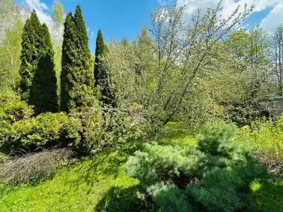 загородный с бассейном и сауной - 26