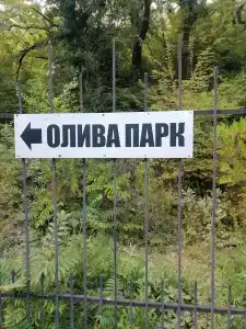Олива Парк - 5